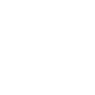 white vehicle icon